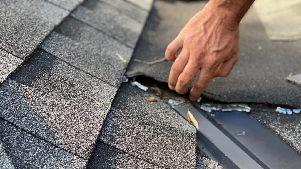 Best Service in Roof Repair in Northland