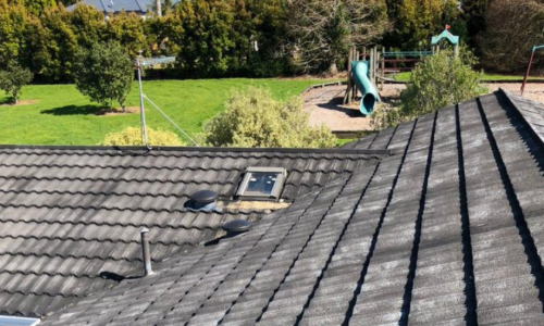 Untitled-design-2023-07-21T143051.184 Untitled-design-2023-07-21T143051.184