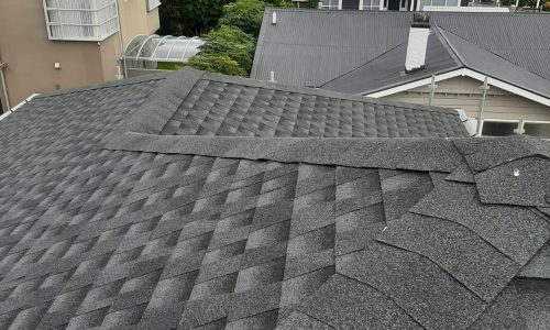 WhatsApp Image 2024-07-01 at 12.47.22_0300e4cc WhatsApp Image 2024-07-01 at 12.47.22_0300e4cc